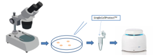 SCP single cell genomics Single Cell Genomics SCP